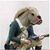 Lee Barnes's profile image