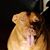 Roxanne Lynn Alpha's profile image