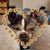 Angela C. Darling's profile image