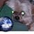 Max Garmo's profile image