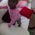 Phylis Nkirote's profile image
