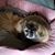 Sandra Coolidge-Dill's profile image