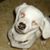Sandra Setty's profile image