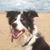 Jane Franklin's profile image