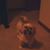 Thomas Hetrick's profile image