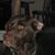 Anita Bizzarro's profile image
