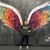 Michelle Ekes's profile image
