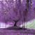 Katrina R Tate's profile image