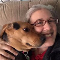 Katie Barbeau's profile image