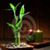 BorneoReflexology Centre's profile image