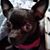 Dee Douglas's profile image