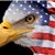 Deb Miller's profile image