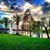 Linda Prinkey's profile image