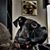 Al Dente's profile image
