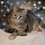 Janet DeLong-Egler's profile image