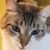 Christina Biery Jackson's profile image