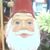 Pam Harney's profile image