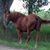 Jeannie Baril-Labonte's profile image