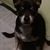 Darla Trulson Giles's profile image