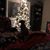 Teri Lynn Schneider's profile image