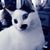 Crissy Reagan Swaney's profile image