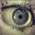 Chris Koch's profile image