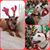 Rosa Montilla's profile image