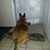 Mark Herman's profile image