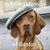Kate Molloy's profile image