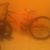El Wuacho Joa's profile image
