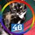 Nellie Bradshaw's profile image
