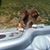 Alice Helms's profile image