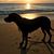 Brenda Percy Whitehurst's profile image