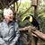 Denise Johnson's profile image