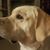 Chris Galewood's profile image