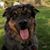 Debi Czarkowski Marvin's profile image