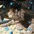Belinda LaPorte's profile image
