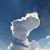 Kelly Cook's profile image