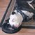 Suzi Carter Holmes's profile image