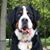 Scott Shumway's profile image