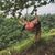 Josefina Gimenez McDade's profile image