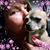 Doina Cealmov's profile image