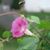 Lynne Hartley Lincourt's profile image