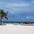 Sue Hagenbaugh Johnson's profile image