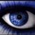 Colleen Fritze's profile image