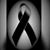 Edy Samir's profile image