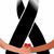 Jose Machado's profile image
