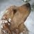 Karen Readence's profile image