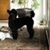Bobbie Handen's profile image