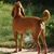 Cammy Donnen's profile image